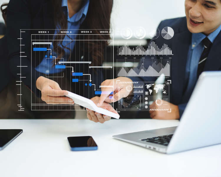 Enumerate Consulting project approach